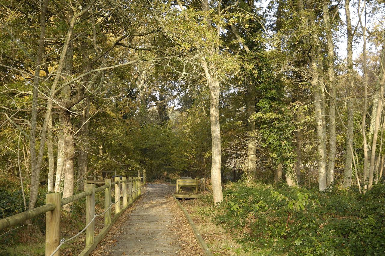 Domaine De Mont-Evray Hotell Nouan-le-Fuzelier Exteriör bild