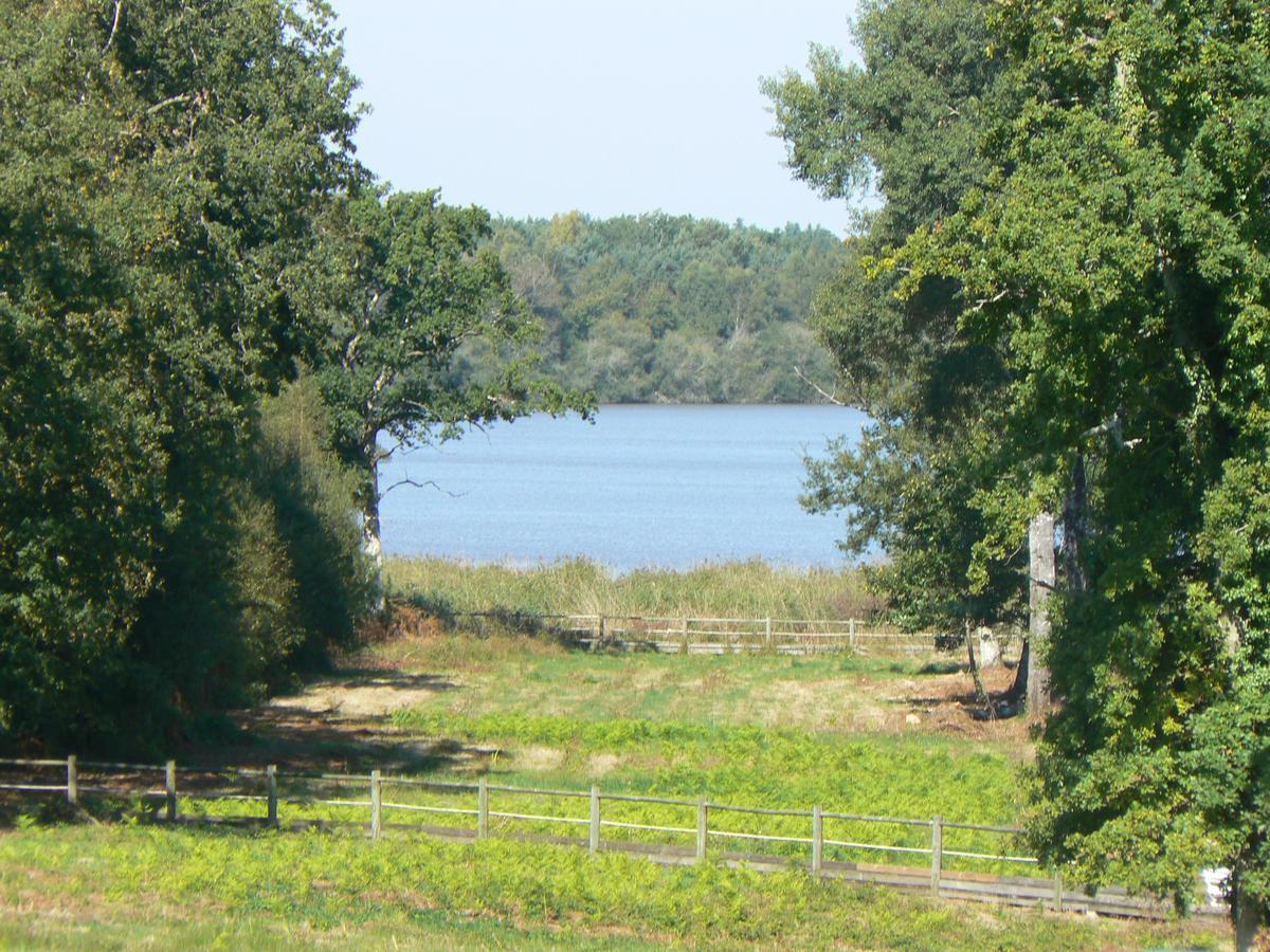Domaine De Mont-Evray Hotell Nouan-le-Fuzelier Exteriör bild